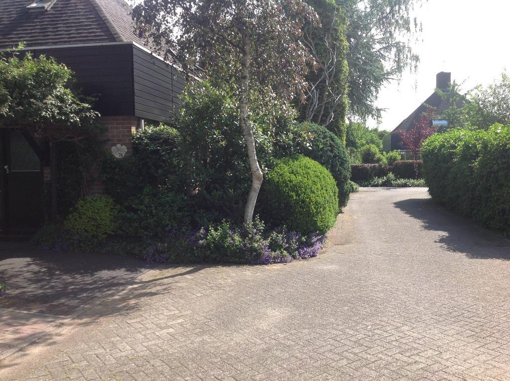 B&B Molenzicht Warnsveld Dış mekan fotoğraf