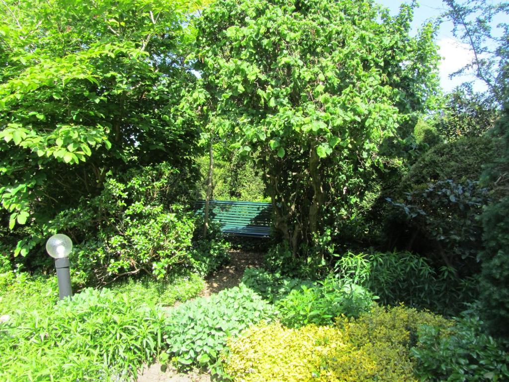 B&B Molenzicht Warnsveld Dış mekan fotoğraf