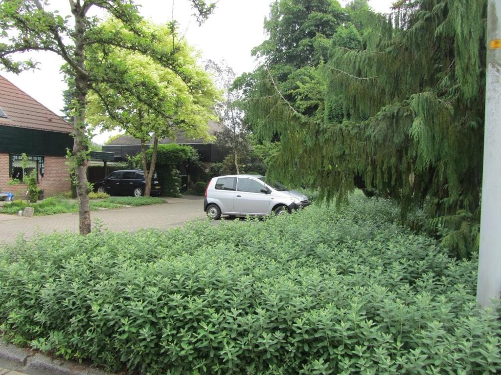 B&B Molenzicht Warnsveld Dış mekan fotoğraf